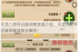 天龙八部怀旧服明教技能介绍，天龙八部怀旧服明教技能全解析！