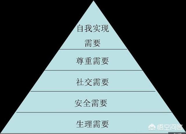 科学教育究竟是什么（科学教育是什么意思）